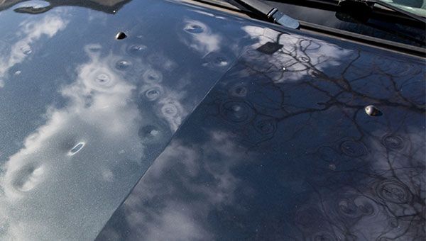 SERVICEANGEBOT: DELLENREPARATUR